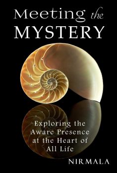Meeting the Mystery by Nirmala